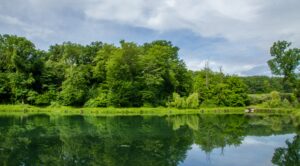 Eaux et forêt